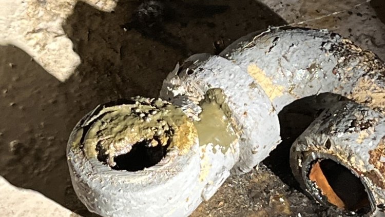 Sewer Line Installation: Sign Your Sewer Line Needs Repairs 1 Signs Of Sewer Line Problems In A Portland Home